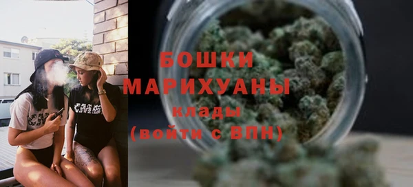 прущая мука Няндома