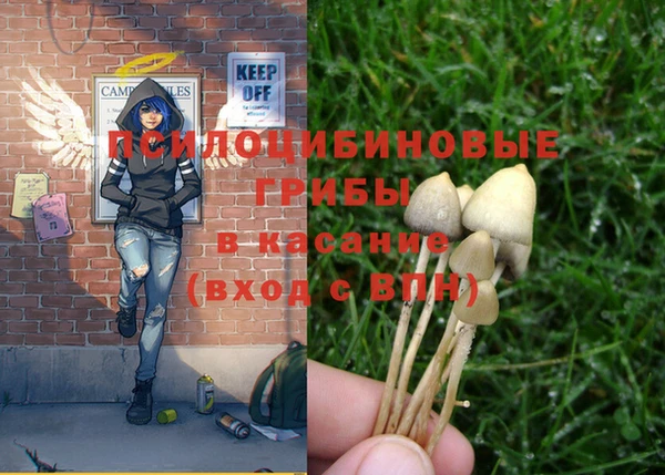 марки nbome Нязепетровск