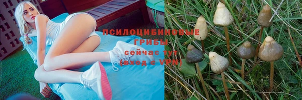 марки nbome Нязепетровск