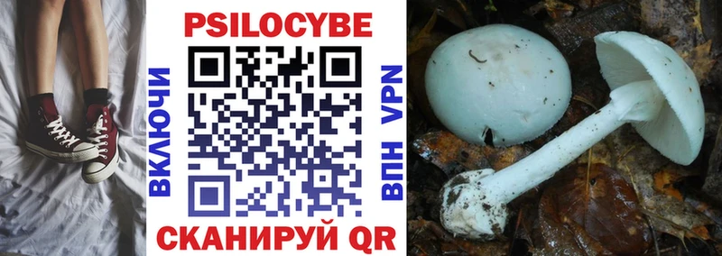MEGA вход  как найти закладки  Зубцов  Галлюциногенные грибы MAGIC MUSHROOMS 