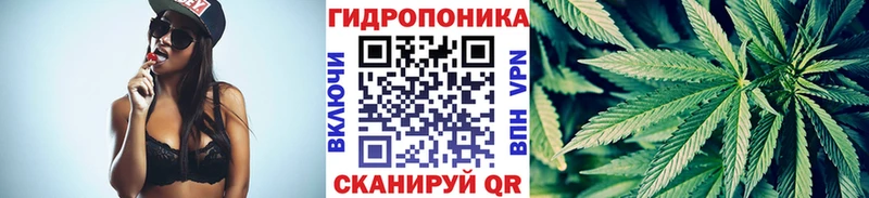 Бошки марихуана Ganja  Зубцов 